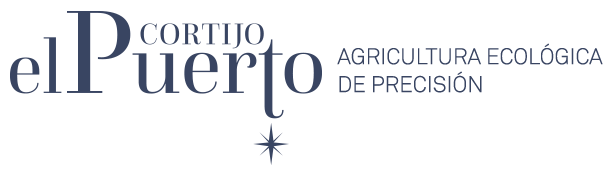 Oleoturismo en Sevilla