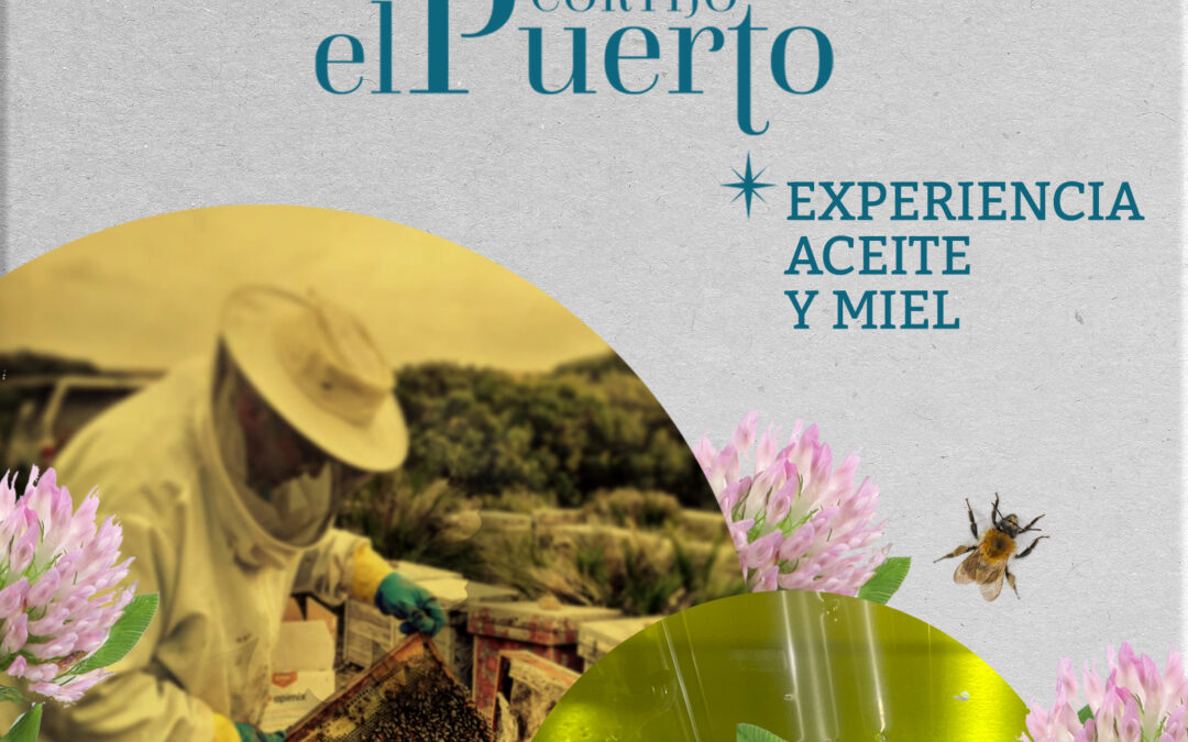 Experiencia Aceite y Miel en Sevilla
