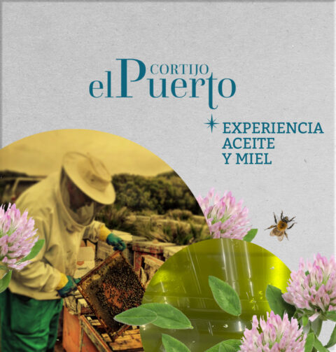 Experiencia Aceite y Miel en Sevilla