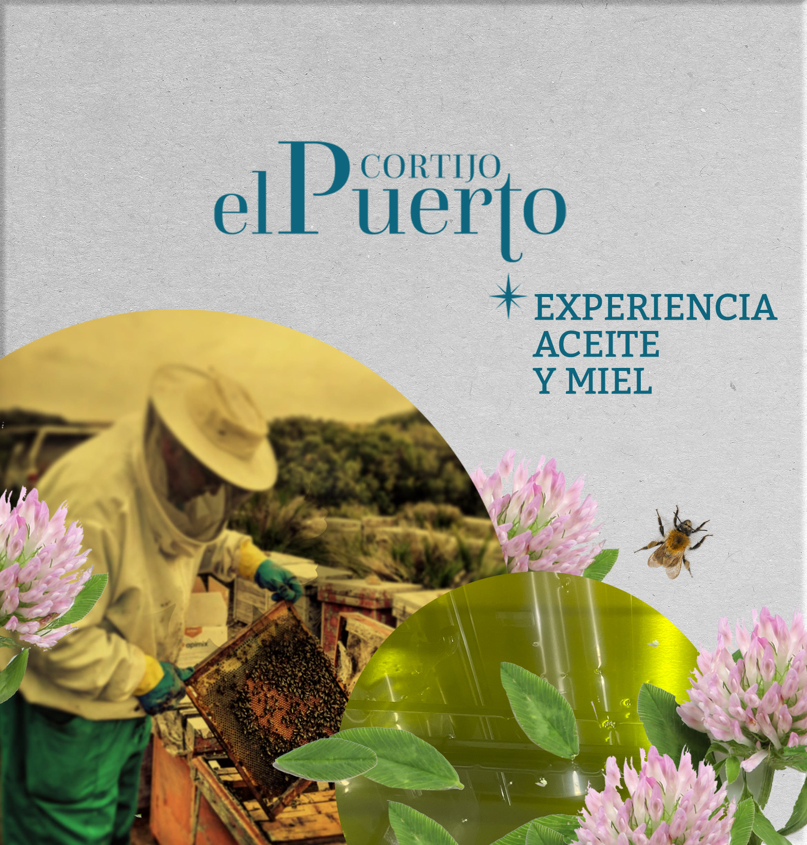 Experiencia de aceite y miel en Cortijo el Puerto Sevilla