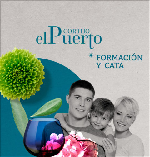 Formación y Cata de Aceite de Oliva en Sevilla