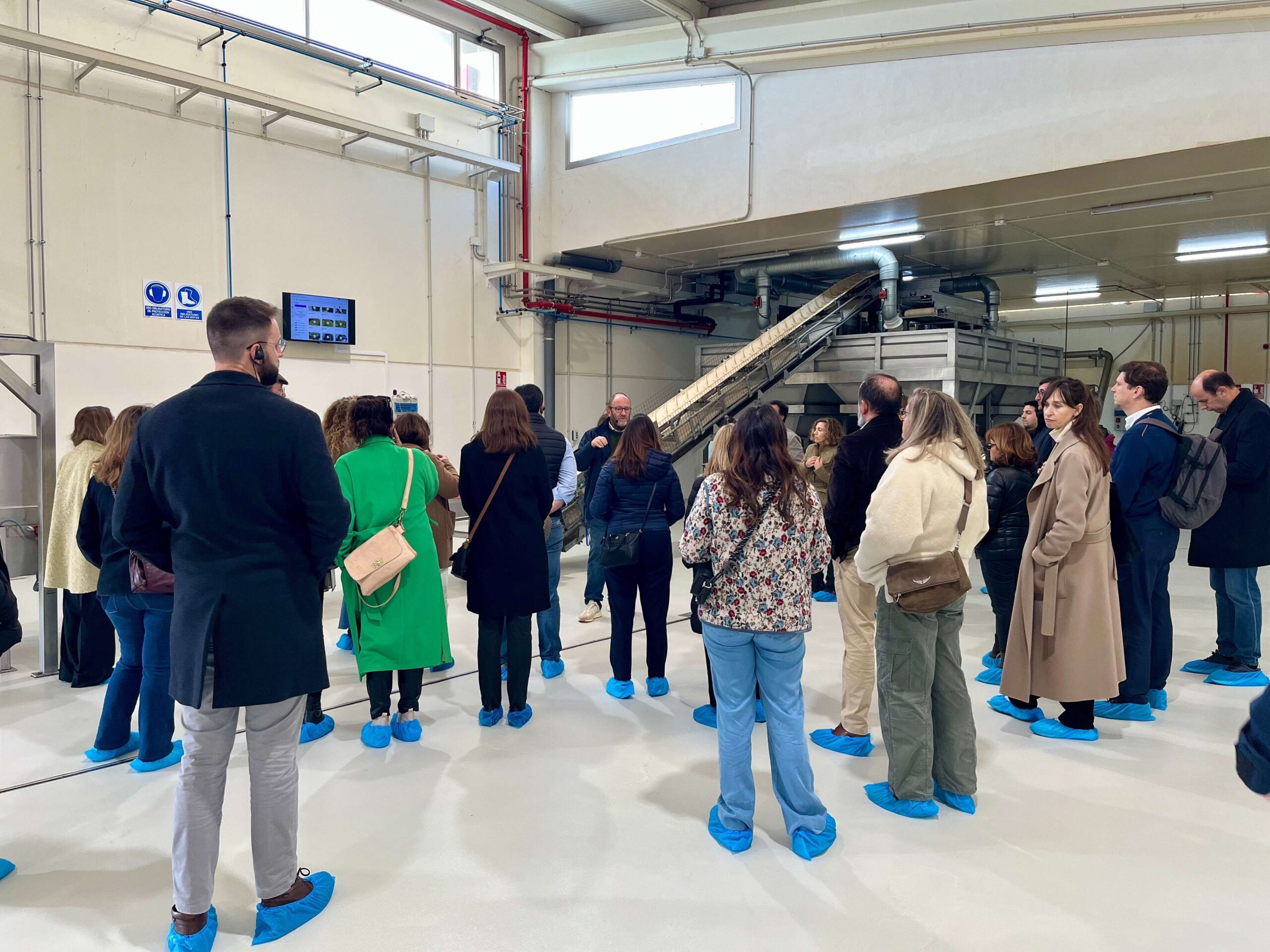 Grupo de visitantes durante una experiencia de oleoturismo en la almazara ecológica de Cortijo el Puerto en Sevilla
