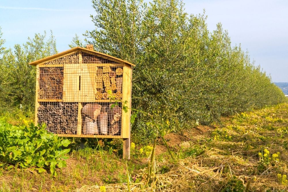 Hotel para insectos auxiliares utilizado en actividades de lucha biológica natural en Cortijo el Puerto