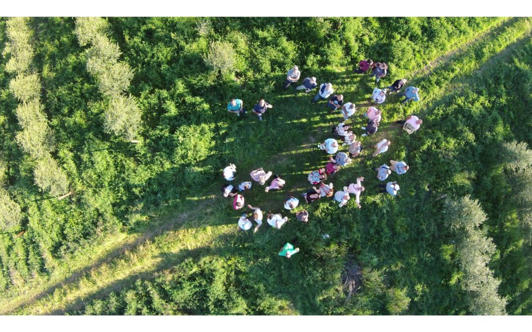 Vista aérea de experiencia de oleoturismo regenerativo en el olivar ecológico de Cortijo el Puerto en Sevilla