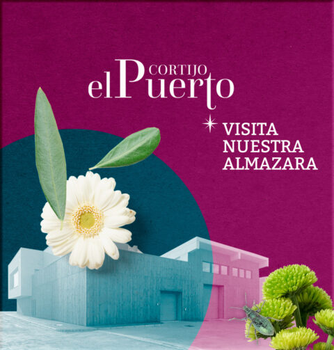 Visita a la Almazara Bioclimática