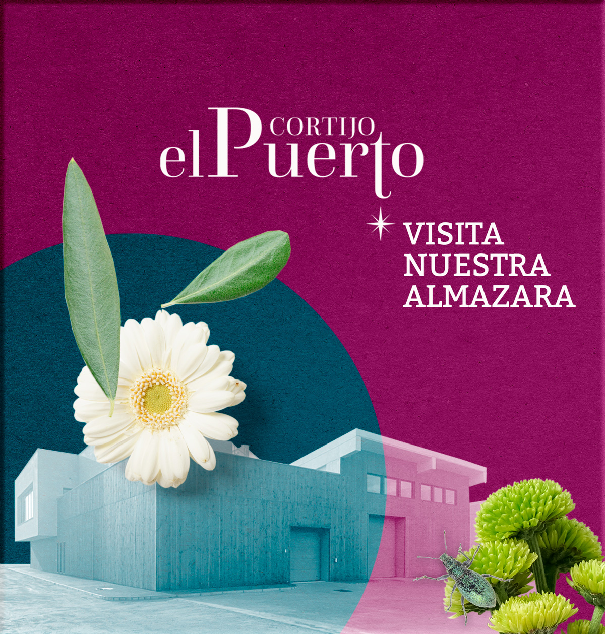 Visita a la almazara bioclimática de Cortijo el Puerto en Sevilla